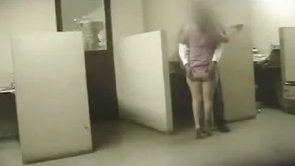 Kucing, teman, teman-teman, pengusaha, pekerja film semi sex jepang keras, hardcore